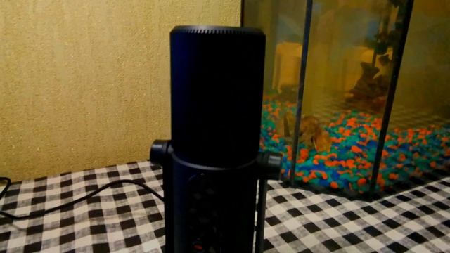 Обзор на ИГРОВОЙ МИКРОФОН - Zet Koradji PRO смотреть онлайн