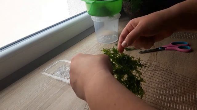 Задняя стенка аквариума из Ломариопсиса смотреть онлайн