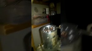 Ремонт стартера   форд фокус 2 1.8 07г.