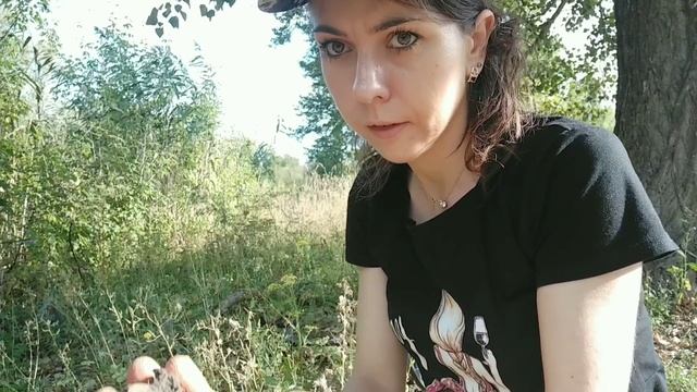 Коп 2019. Немного ЛЕТА холодной зимой! смотреть онлайн