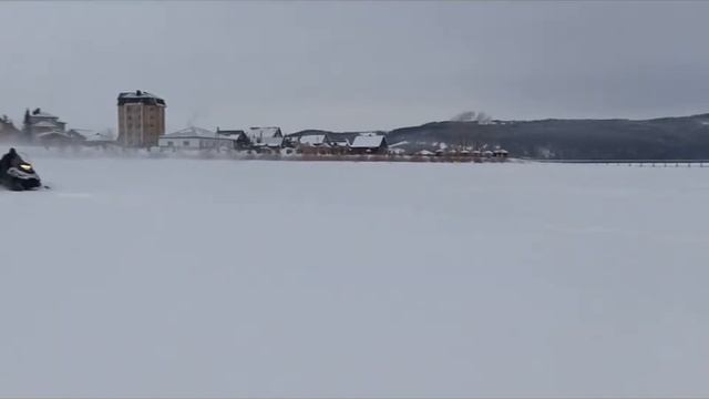 Почему не стоит будить мишек и остальных животных в лесу смотреть онлайн