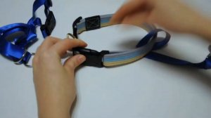 НЕДОУЗДОК ДЛЯ СОБАК: инструкция по использованию