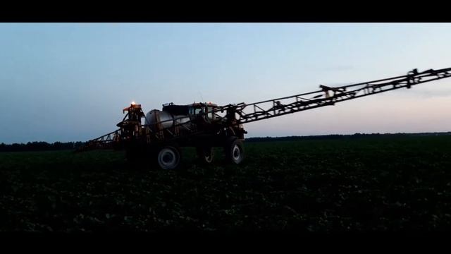 Обработка подсолнечника: Фитоспорин + Биополимик + Бионекс + Биолипостим