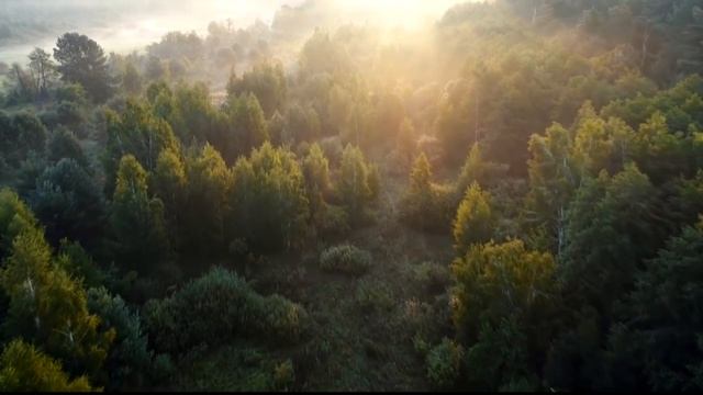 Музыка для медитации расслабляет разум и тело 2023 Relax смотреть онлайн