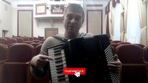 ВАСИЛЬКИ НА АККОРДЕОНЕ кавер  accordion music