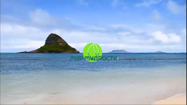 Как увидеть другой мир за пределами видимого восприятия?! смотреть онлайн