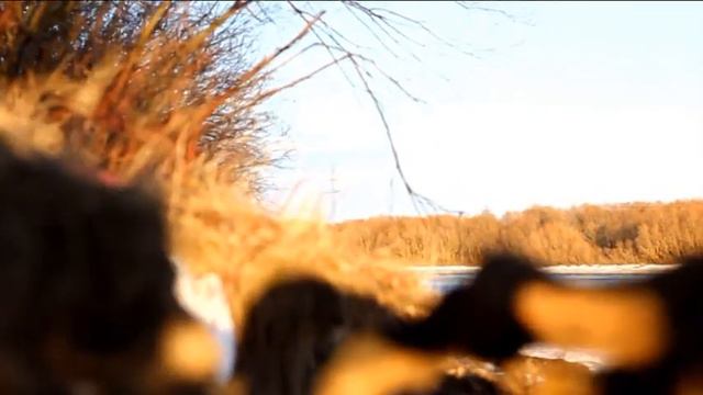 Весна приходит с Verum смотреть онлайн