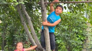 ГОТОВИМ ОЧЕНЬ ВКУСНЫЕ БАКЛАЖАНЫ НА МАНГАЛЕ Азербайджанская Кухня Деревенская Кухня  Рецепты