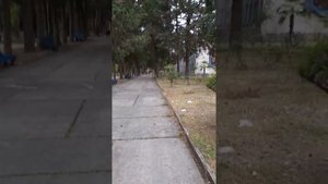 Дом отдыха "Псоу", Абхазия, Цандрипш.