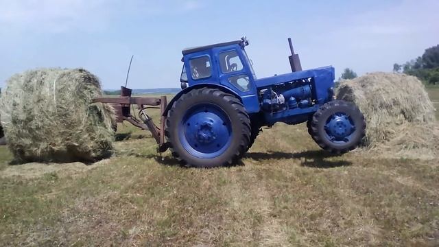 сенокос смотреть онлайн