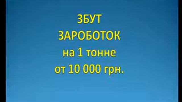 Ореховая Лихорадка. С чего начать? Грецкий орех. Орехокол.