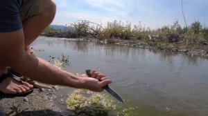 Condor Terrasaur: A Bushcraft Knife Review