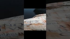 Вот к чему приводит покупка дешёвых защёлок.