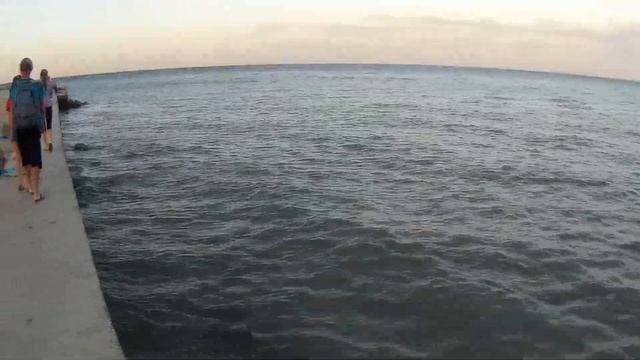 Вся правда о пляже в Геническе смотреть онлайн