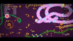 Worms zone.io live stream gameplay