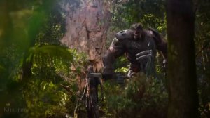 Avengers infinity War final battle!!!!