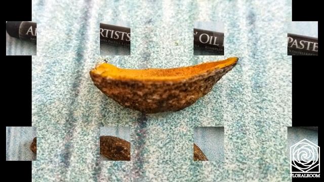 Бадьян из фоамирана смотреть онлайн