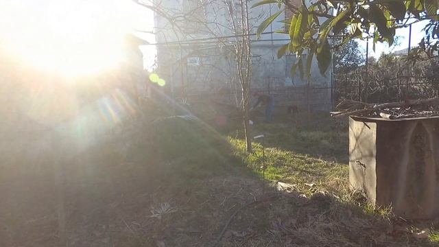 Первая прогулка по набережной.22.02.2022 смотреть онлайн