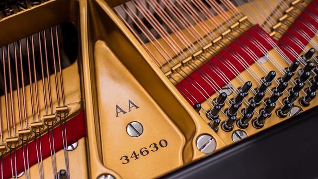 nocturne in c sharp minor смотреть онлайн