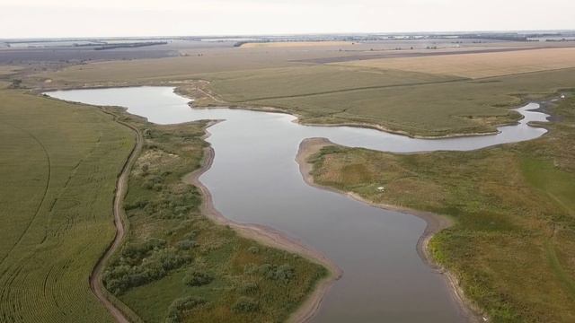 Жеденовка (березы шумят) смотреть онлайн