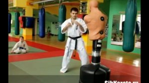 Уширо маваши в падении