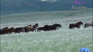 Новости Кувандыкского городского округа Оренбургской области