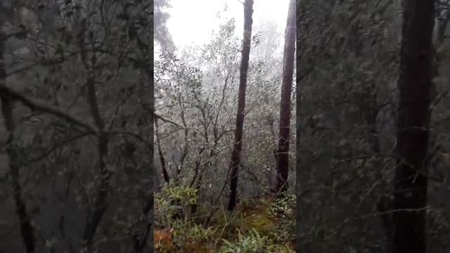 Copia de descripción de la piedra con movimiento localizada en agua blanca hgo смотреть онлайн