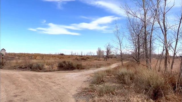 #106) Две истории которые побудили меня иммигрировать. смотреть онлайн