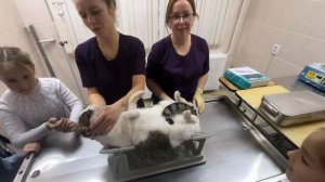 Урок доброты