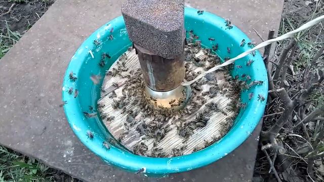 Пчёлам нужна вода смотреть онлайн