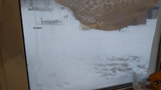 Новую скважину такими насосами не прокачивают! смотреть онлайн