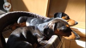 ? ? ? ^ ЧТО ЛУЧШЕ ОДНОЙ ТАКСЫ? ТОЛЬКО ТРИ ТАКСЫ!