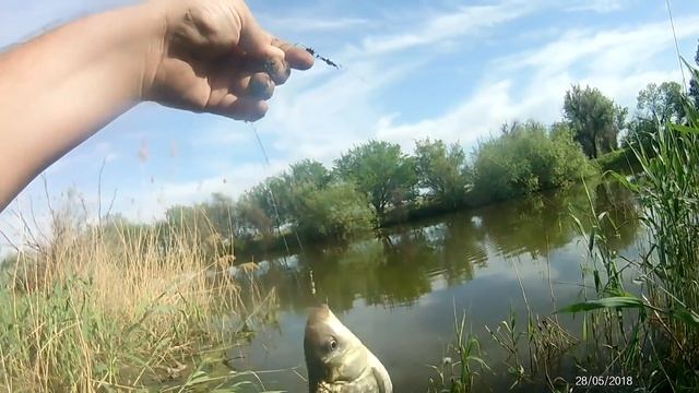 Весенняя рыбалка на КАРАСЯ в Астрахани. смотреть онлайн