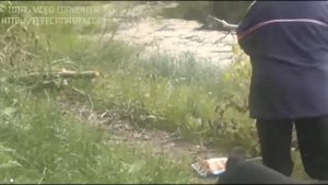 ПОЧЕМУ РОТВЕЙЛЕР УКУСИЛ ДЕВУШКУ?РАЗБИРАЕМ ВИДЕО.дрессировка ротвейлера