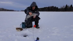 Селигер-зимняя рыбалка