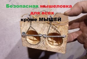 Самая безопасная для детей и животных мышеловка