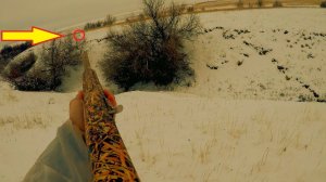 ОХОТА НА ЗАЙЦЕВ 2020!!! СТОЛЬКО ЗАЙЦЕВ И САМАЯ ТРУДОВАЯ ОХОТА!!!