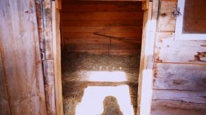 ПРИВОЖУ САРАЙКУ В ПОРЯДОК _ НАЧАЛО НОВОГО СЕЗОНА