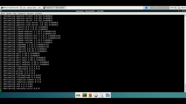 Установка LXC ( Linux Container) в Debian 8 Jessie смотреть онлайн