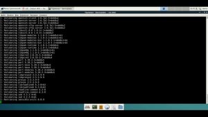 Установка LXC ( Linux Container) в Debian 8 Jessie