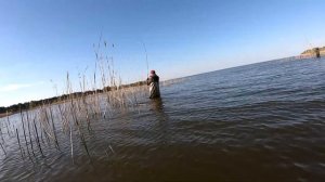 САЗАНЫ ПРОСЫПАЮТСЯ!  лвля карпа, леща, карася на боковой кивок