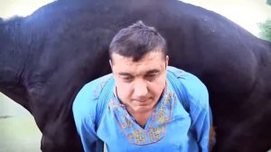 поднял быка