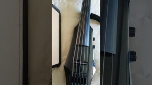 NS VIOLIN 5 String