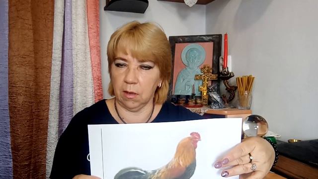 бессонница - перепутали день и ночь смотреть онлайн