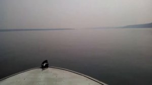 Прогресс 4 Tohatsu 50 eptos