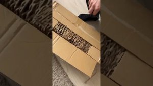 Редкий обвес Nismo stile Wingroad y12, посылка Injapan?. Прямиком из Японии,оно точно того стоило??