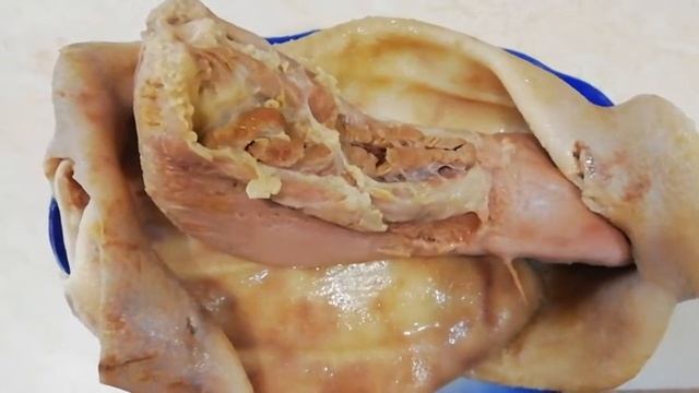 РУЛЕТ ИЗ ГОВЯЖЬЕГО ЯЗЫКА И СВИНЫХ УШЕЙ !!! К ПРАЗДНИЧНОМУ СТОЛУ!