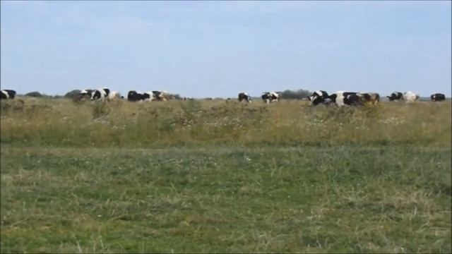 ЛОВЛЯ КАРАСЯ В ЛЕОНТЬЕВО И ПОЕЗДКА НА РЕКА ОСЕНКА. РЫБАЛКА И ОТДЫХ смотреть онлайн