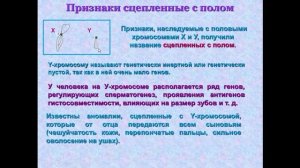 Биология. 9 класс. Наследование признаков, сцепленных с полом. Людмила Ивановна. Profi-Teacher.ru