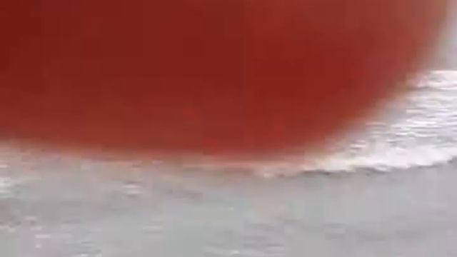 Утка в море смотреть онлайн